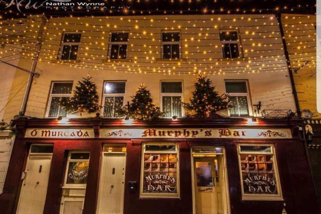 Apartment City Duplex Galway