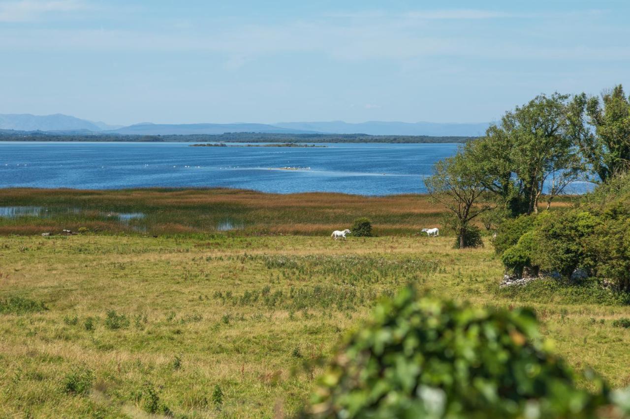 Coach House On The Shores Of Lough Corrib Holiday home