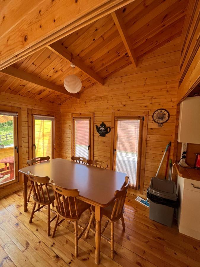 Red Robin Nest Apartment Galway