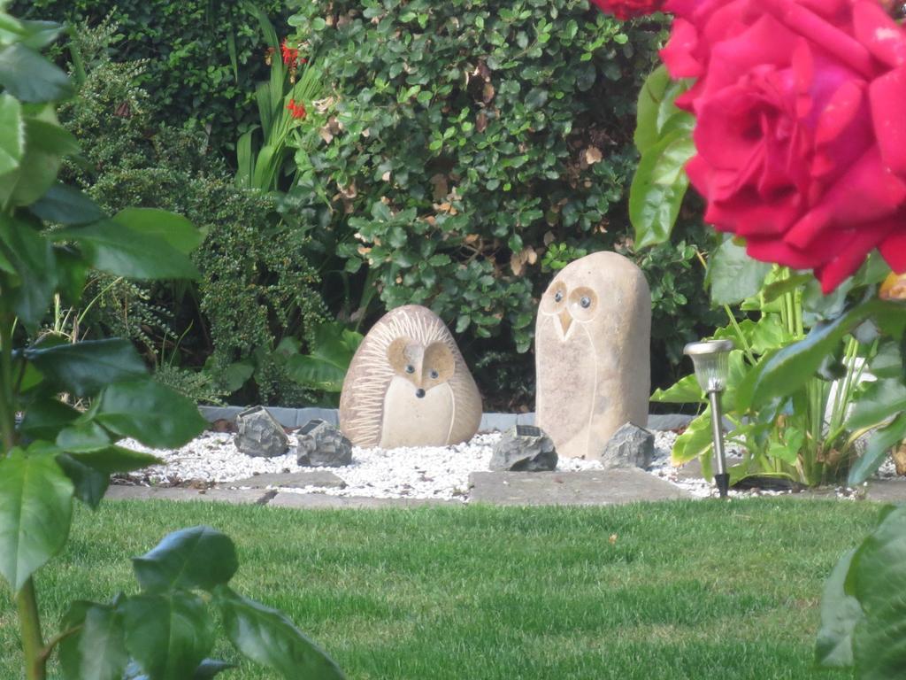 Bed & Breakfast St Judes