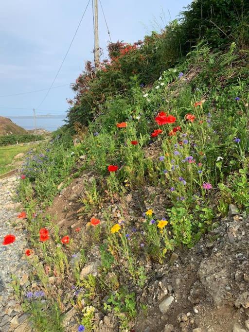 Mary's Seaview Clifden Holiday home *