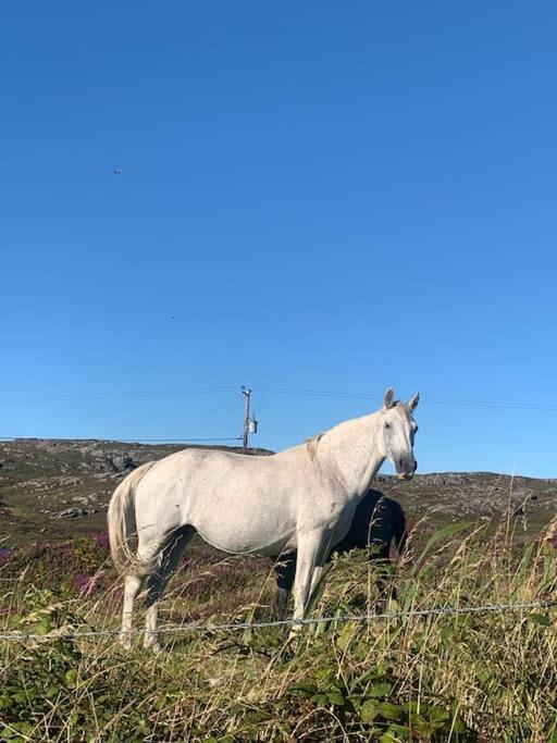 Mary's Seaview Clifden Holiday home *