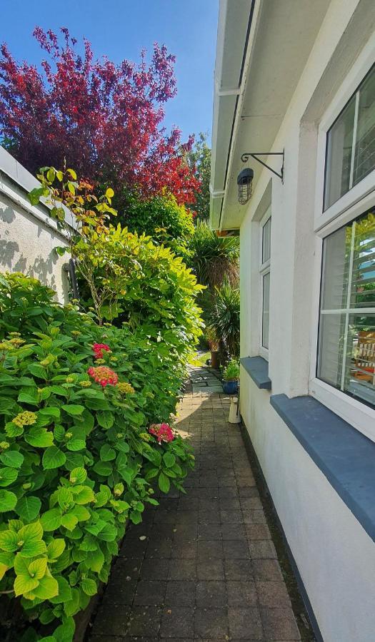 Homestay 124 ,castlelawn Heights, Headford Road Homestay