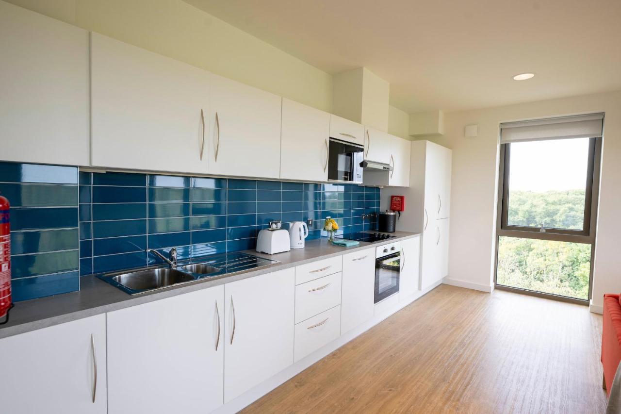 Apartment Of Galway