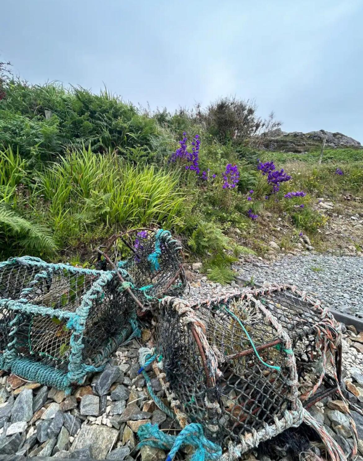 Holiday home Mary's Seaview Clifden *