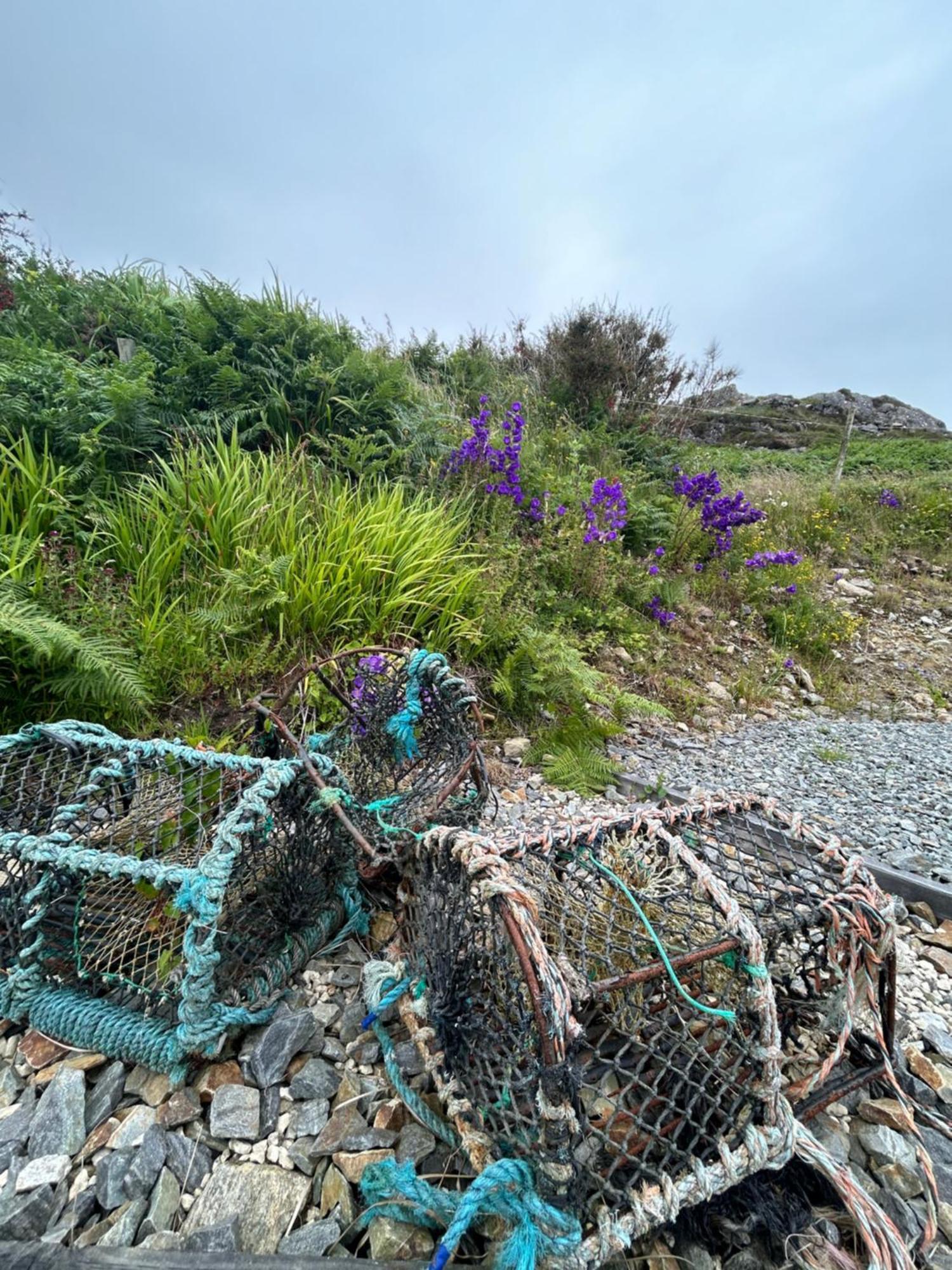 Mary's Seaview Clifden Holiday home