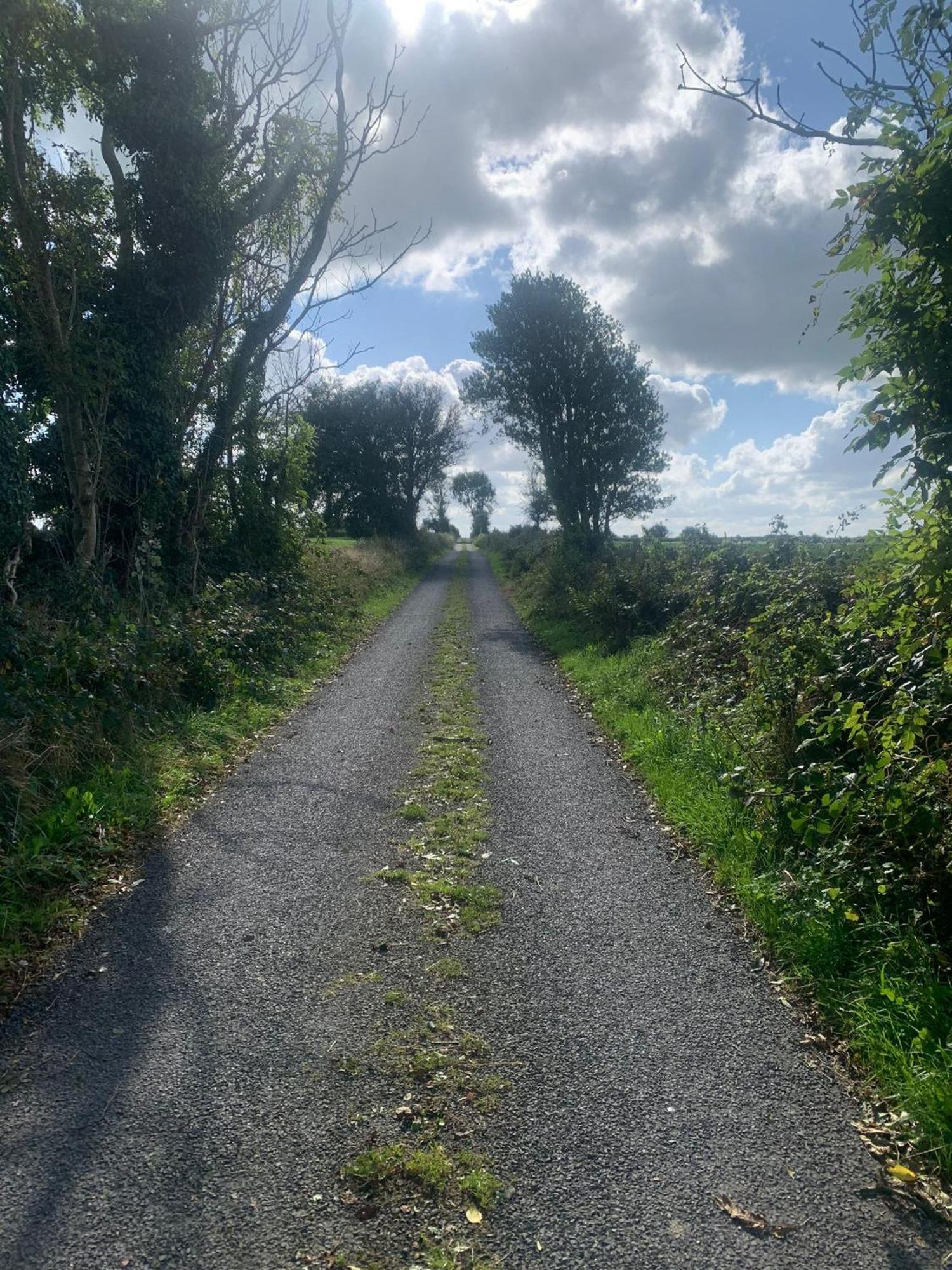 Country Haven Eircode H54 Ak31 Homestay Galway