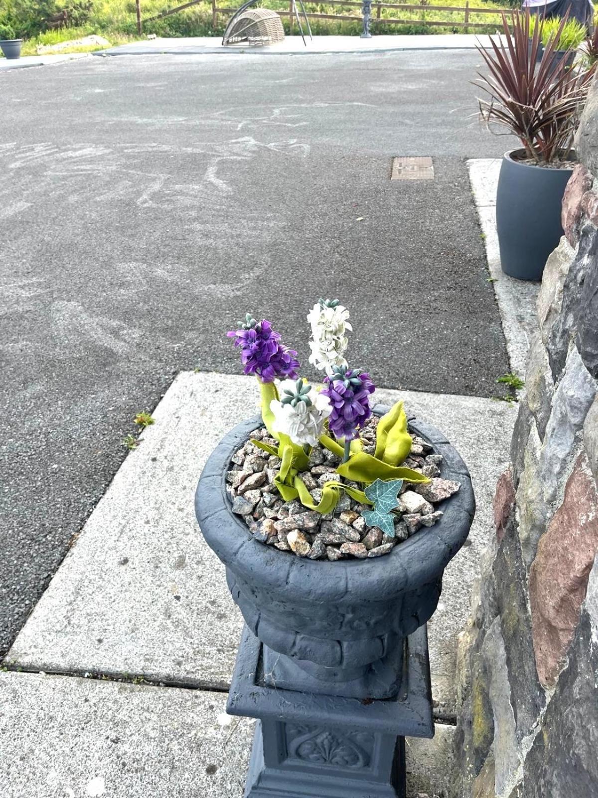Connemara Ocean Escape Galway