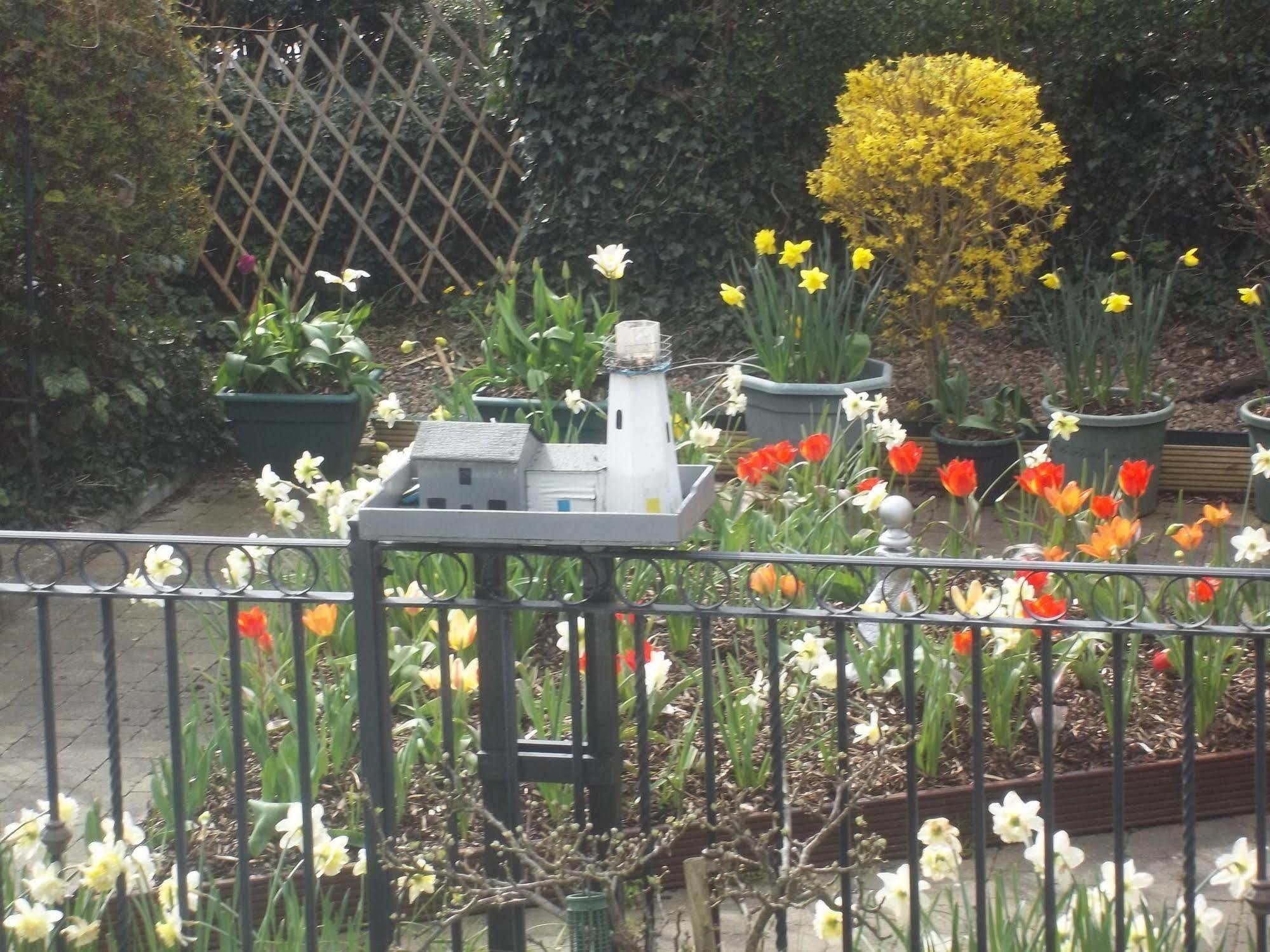 St Judes Galway