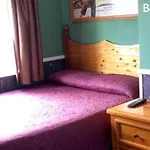 The Alamo Guesthouse