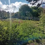 Galway Garden Chalet
