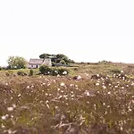 Cnoc Suain