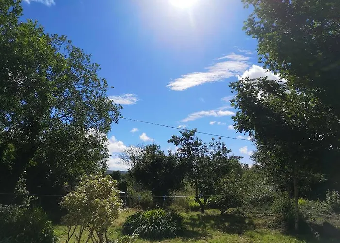 Tranquil Country Escape West Coast Adventure Awaits