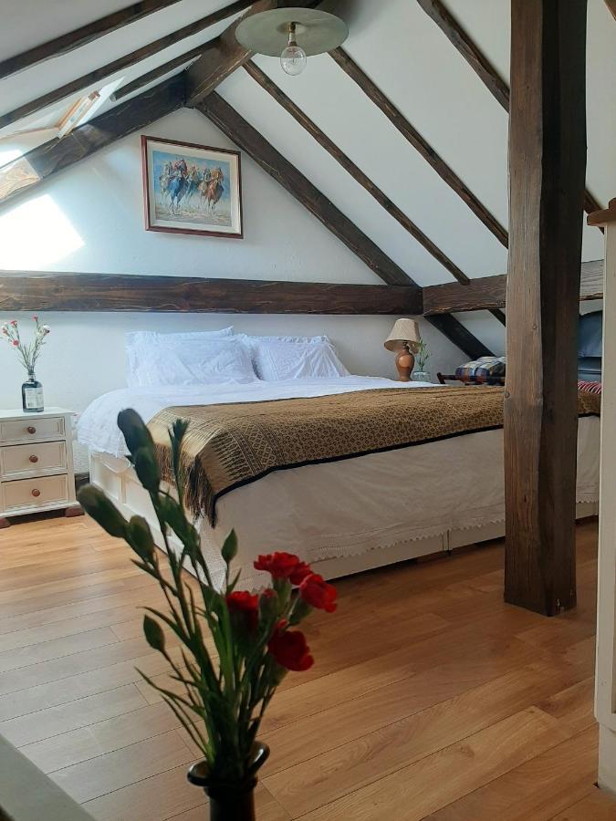 Cosy Apartment In Galway With Balcony 32 M² City View Apartment *