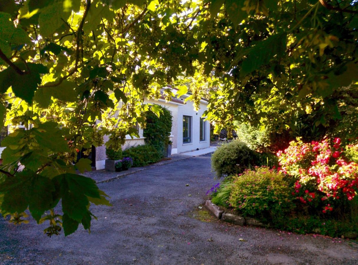 Exclusive Garden * Galway