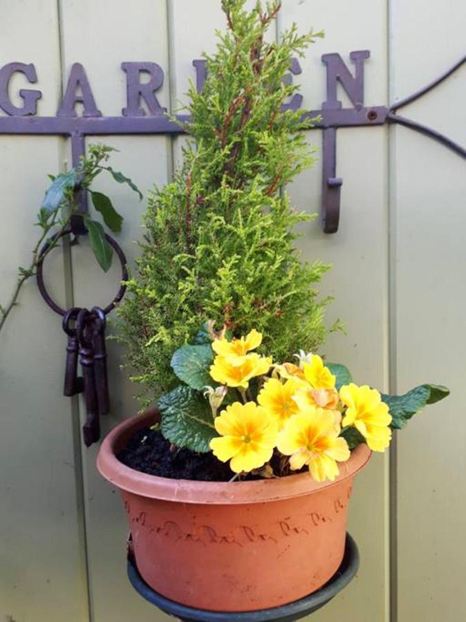 Cosy Apartment In Galway With Balcony 32 M² City View * Galway