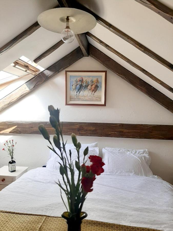 Cosy Apartment In Galway With Balcony 32 M² City View Galway