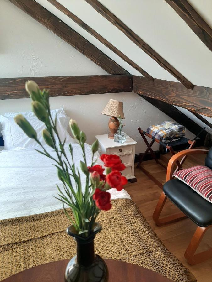 Cosy Apartment In Galway With Balcony 32 M² City View Apartment *