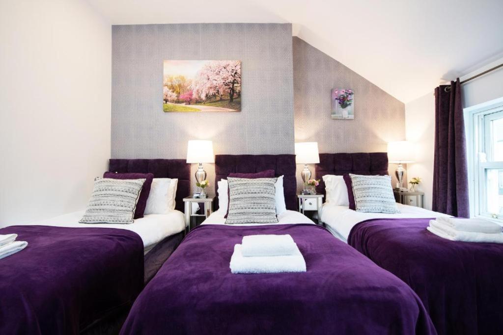 Apartment Luxury - Center - Large Garden With Hot Tub -7 Bedrooms-4 Bathrooms Galway