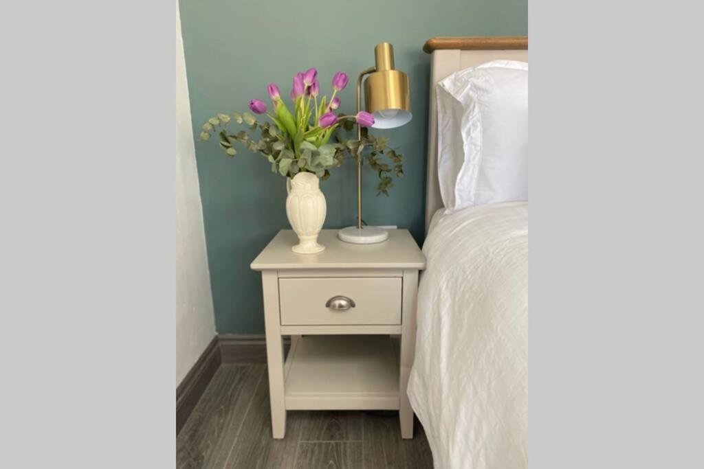 The Cosy Cabin By The Shore Apartment Galway