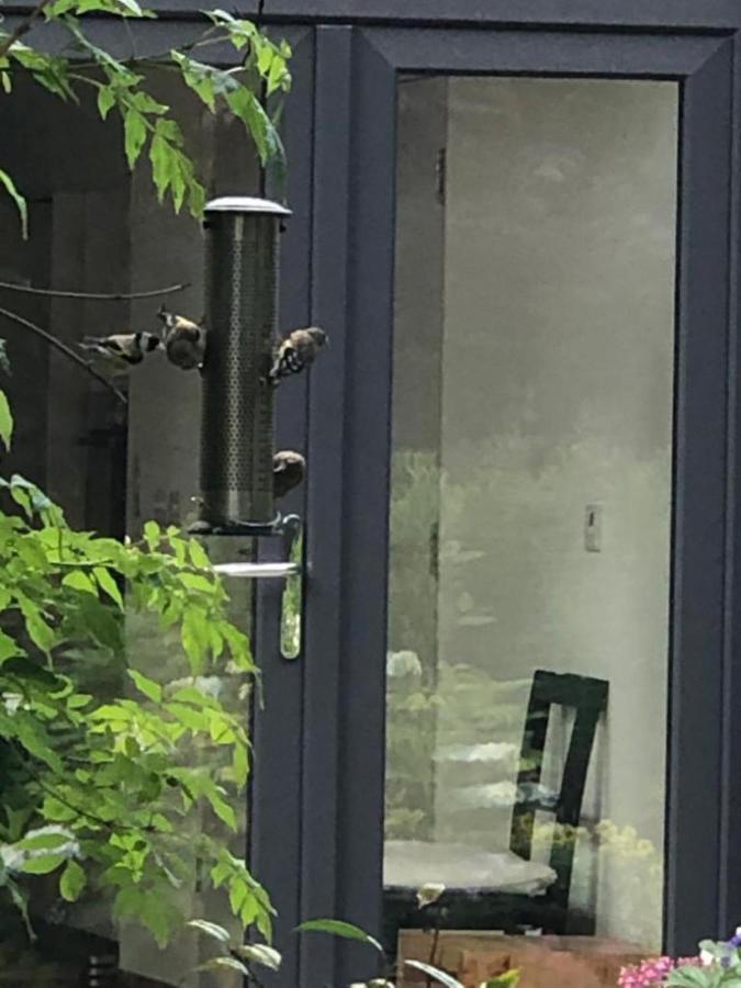 Apartment Exclusive Garden *