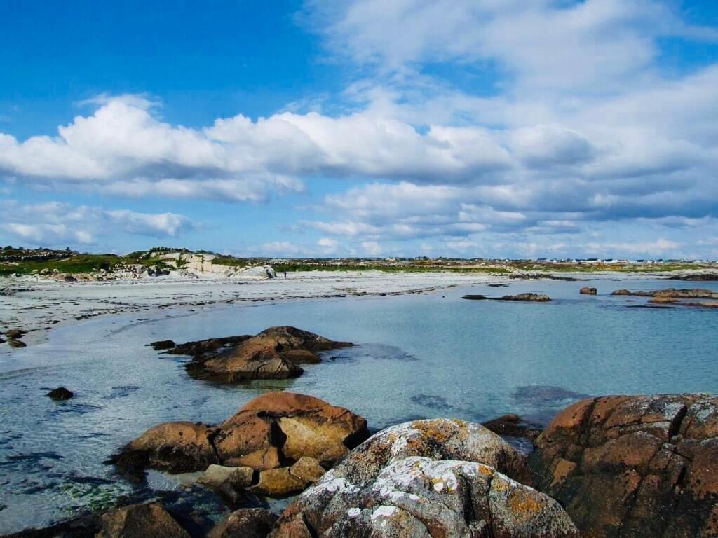 Wild Atlantic Galway