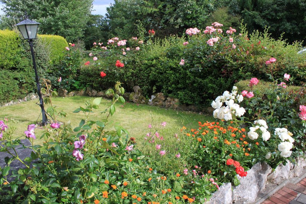 Bed & Breakfast Bohola House Galway