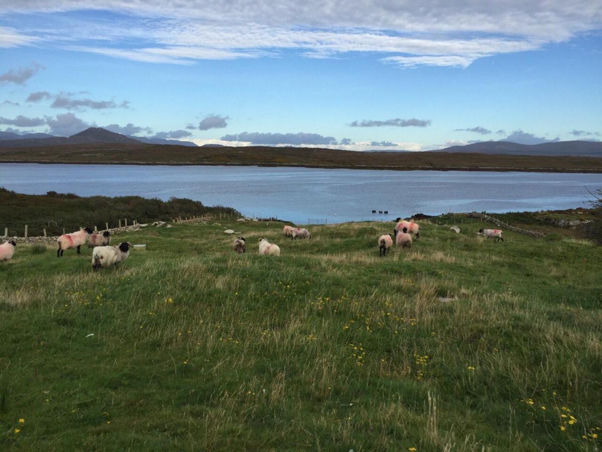 Apartment At Island Cottage, Inishnee, Roundstone Galway