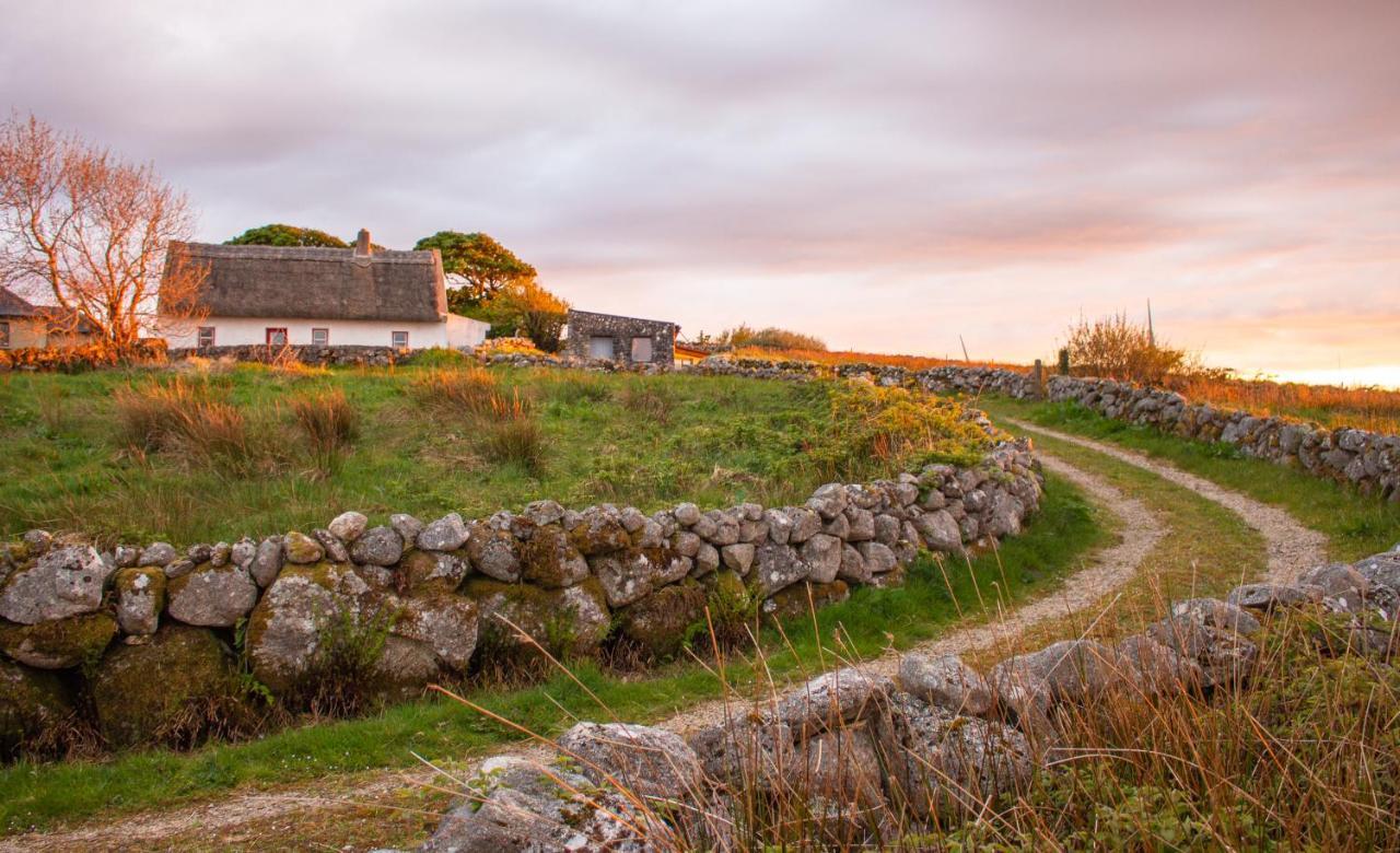 Cnoc Suain