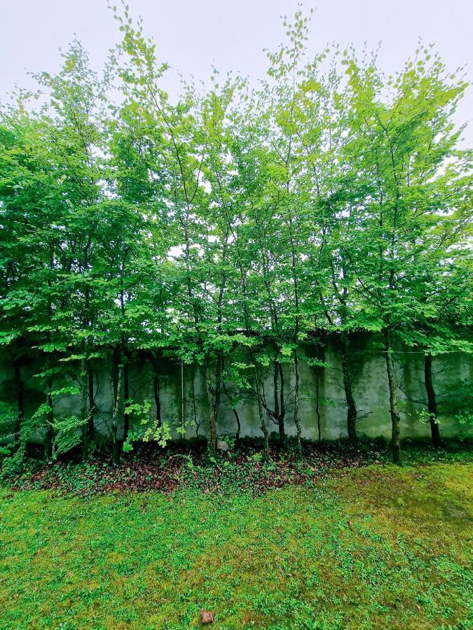 Ballybrit Private Homestay