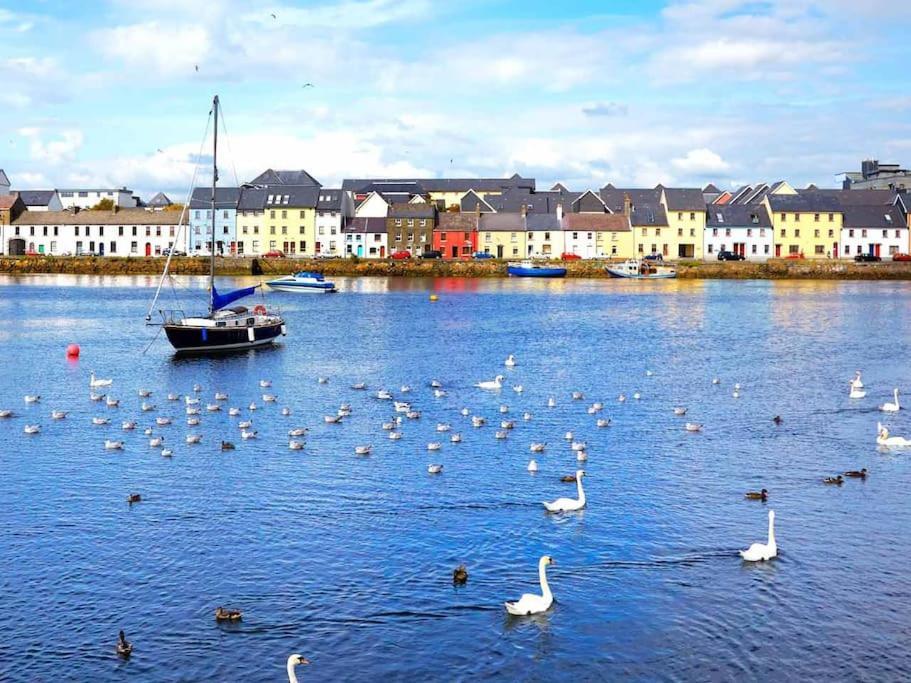 Luxury Center Penthouse - Location * Galway