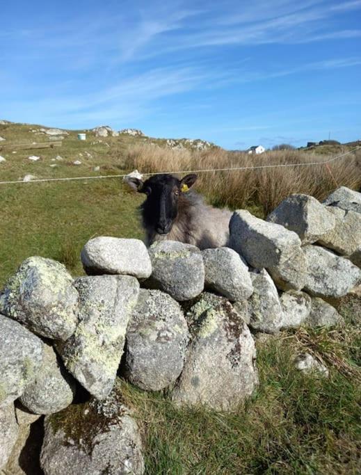 Radharc An Chuain 2 Bedroom * Galway