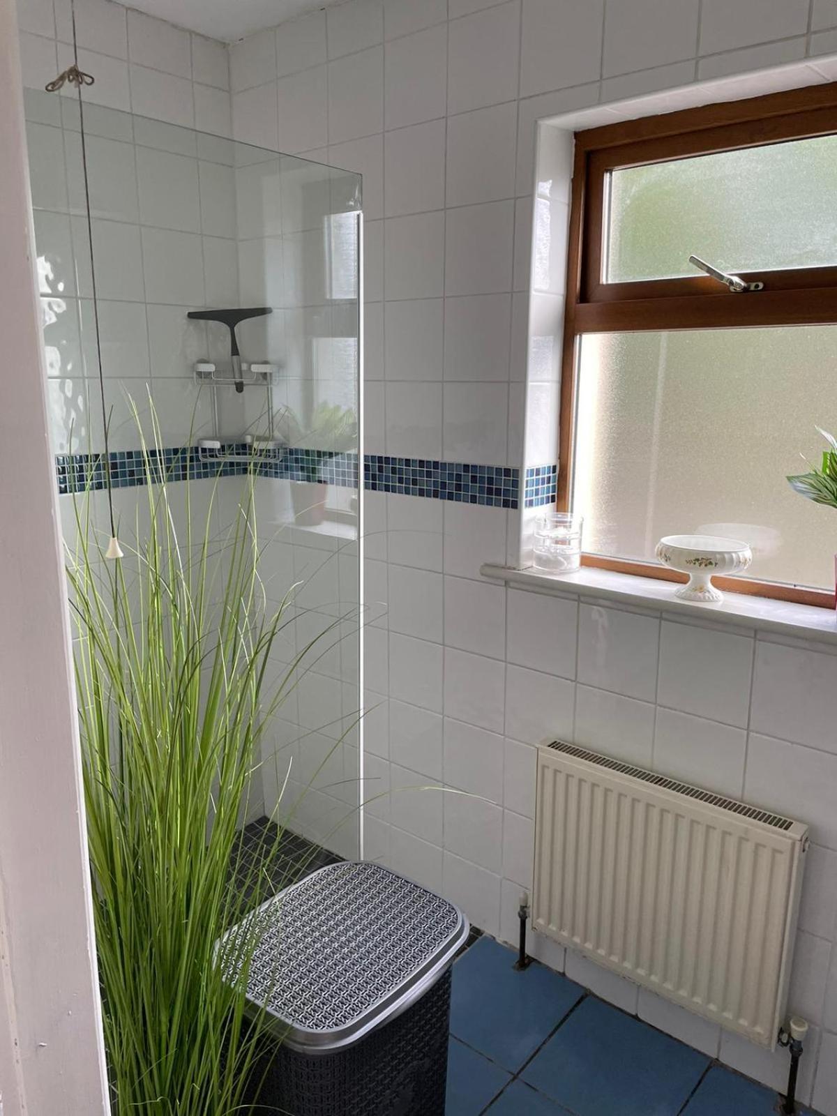 Apartment Milltown Galway