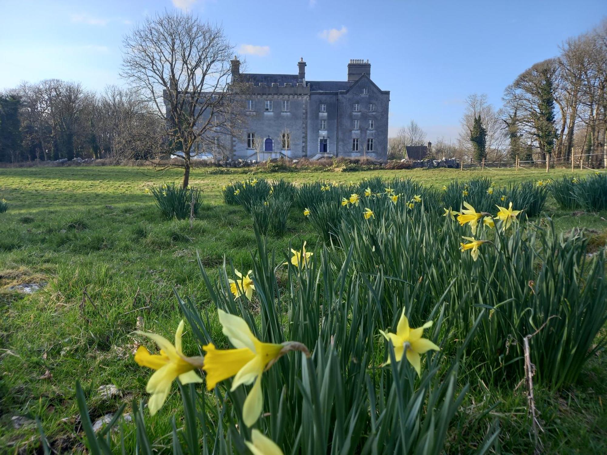 Cregg Castle * Galway