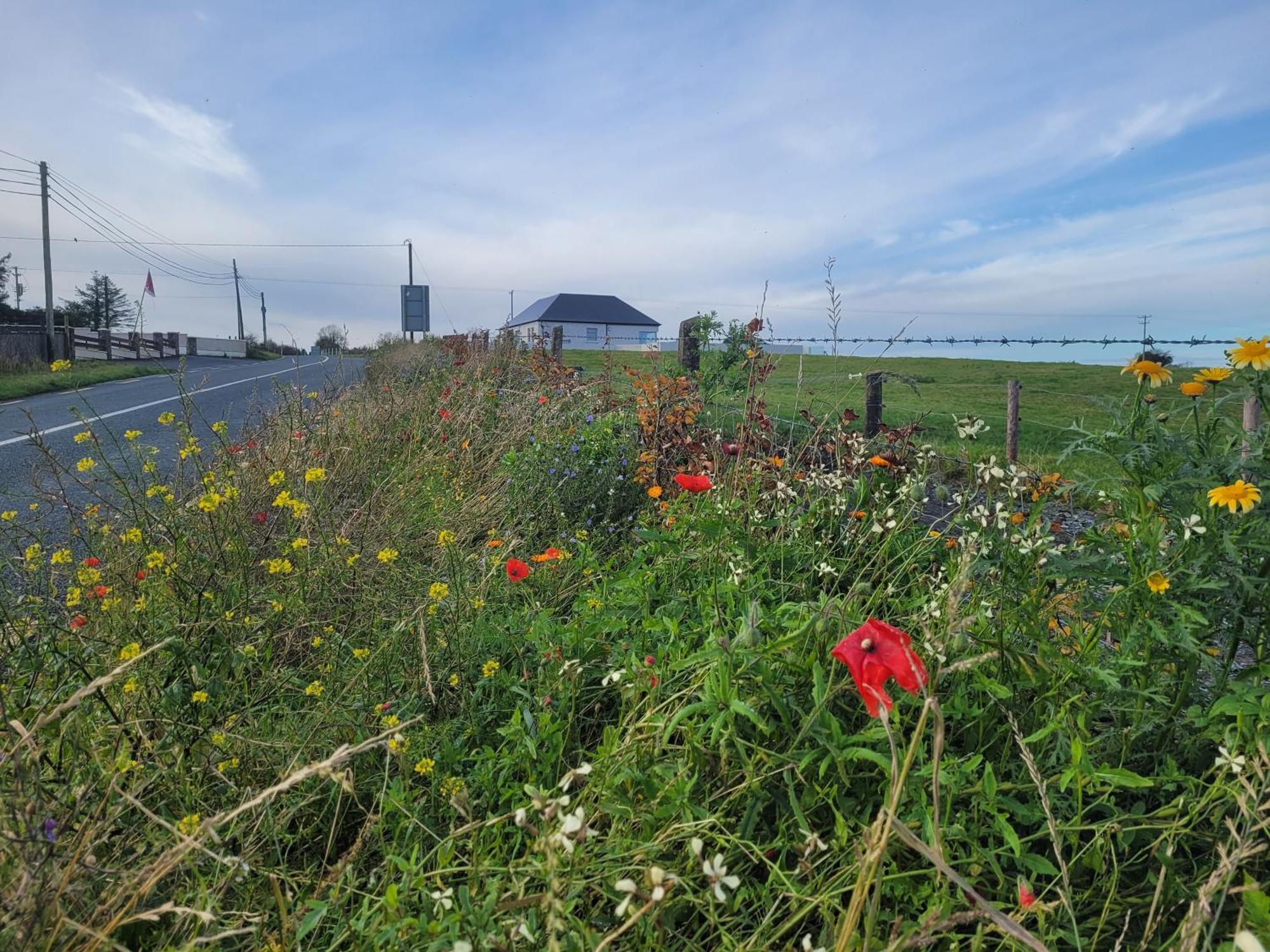Maisie And Bea's Galway