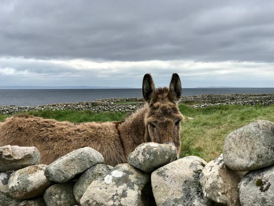Curlews Rest - Gateway To The Aran Islands * Galway