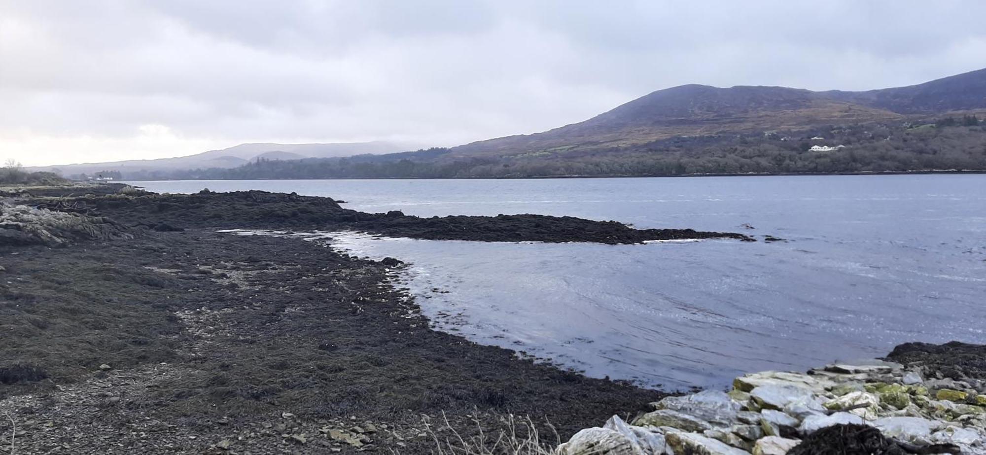 Ger's Galway