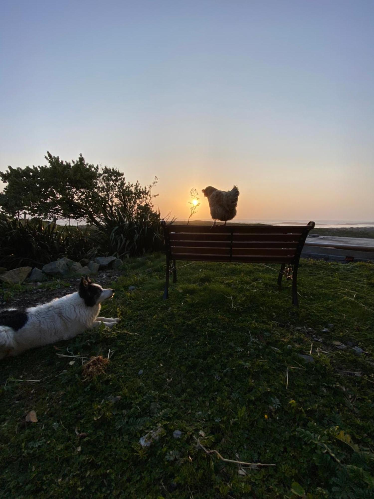 Furthest Point West Homestay