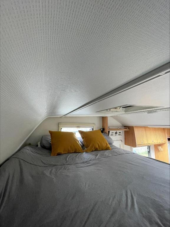 The Cosy Camper At Rockfield Park Campsite