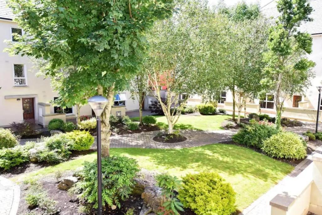 Apartment Stylish Centre Townhouse, Sleeps 12 With Parking Galway