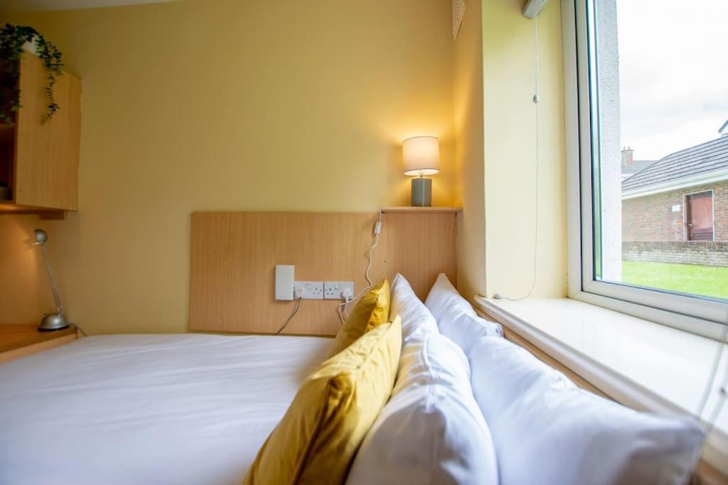 17 - Spacious 2 Bed With Parking Galway