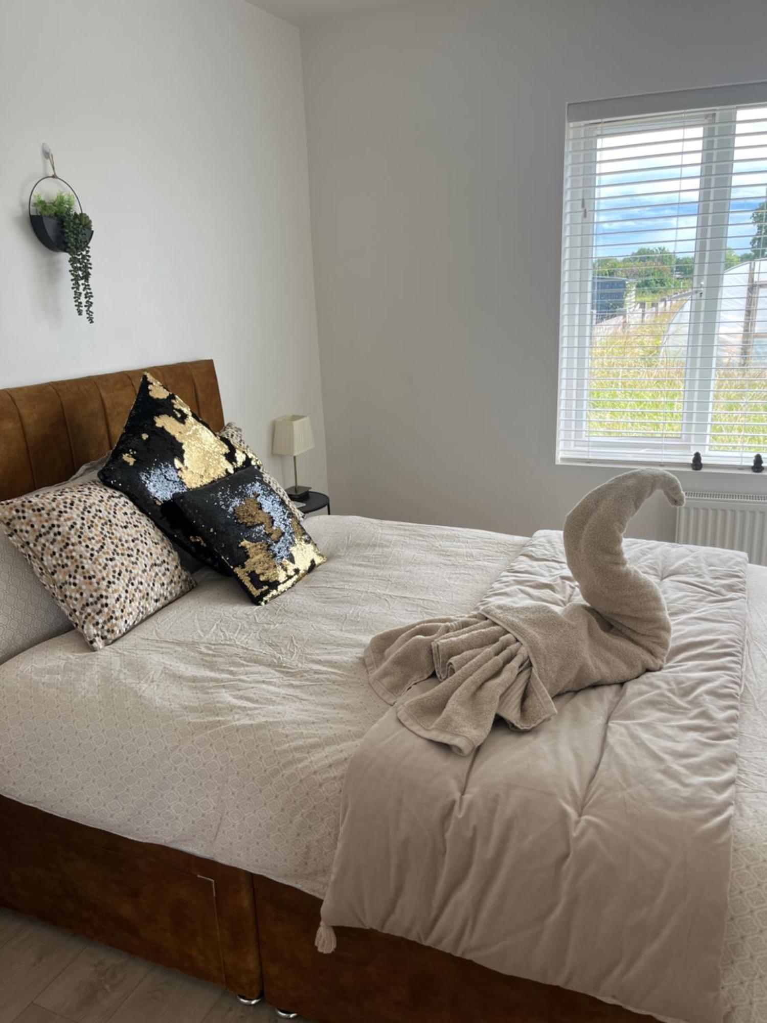 Andis Meadow Apartment Galway
