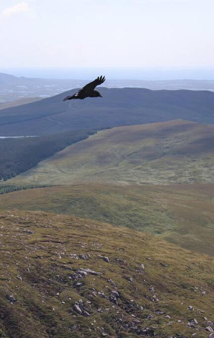 Cnoc Suain Holiday home *