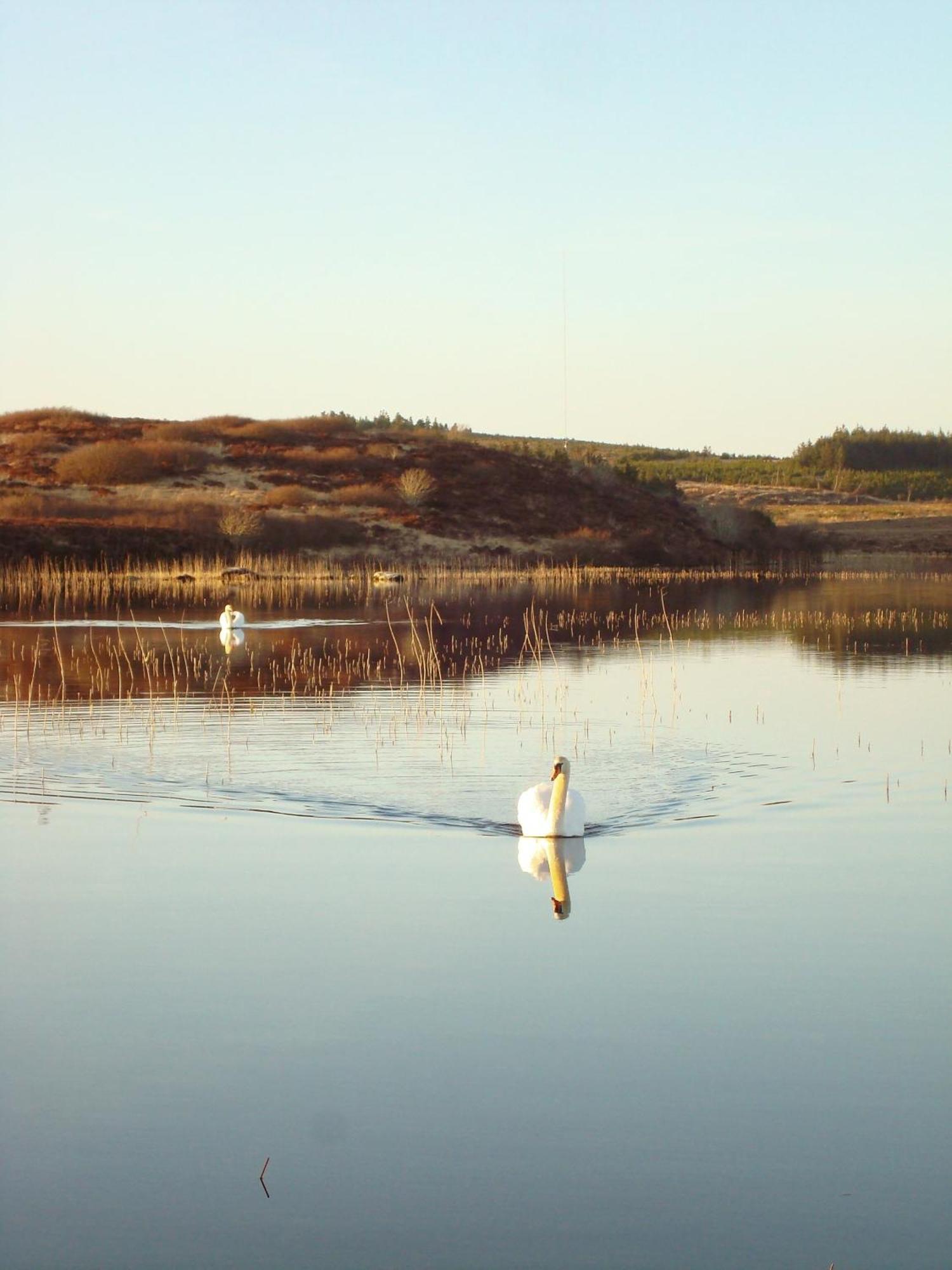 Holiday home Cnoc Suain Galway