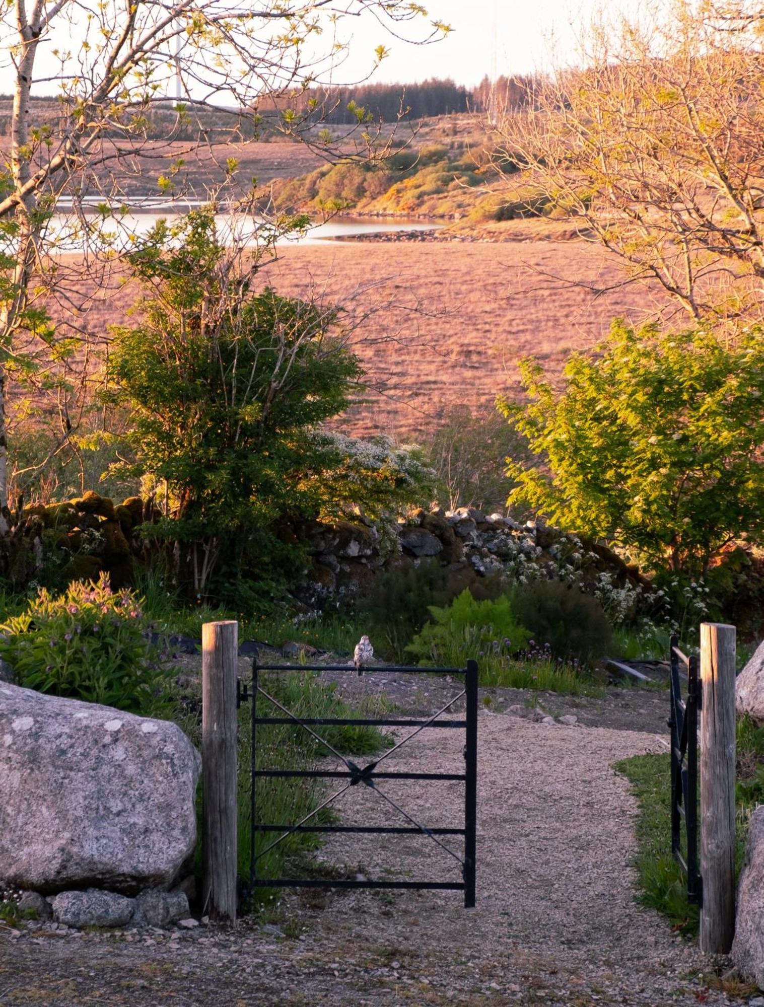 Cnoc Suain *