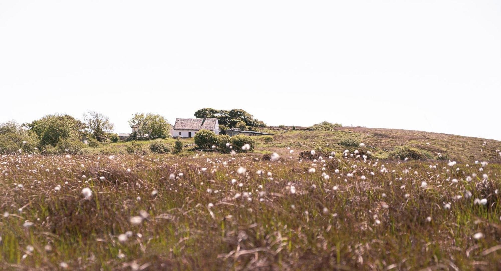 Cnoc Suain Holiday home *