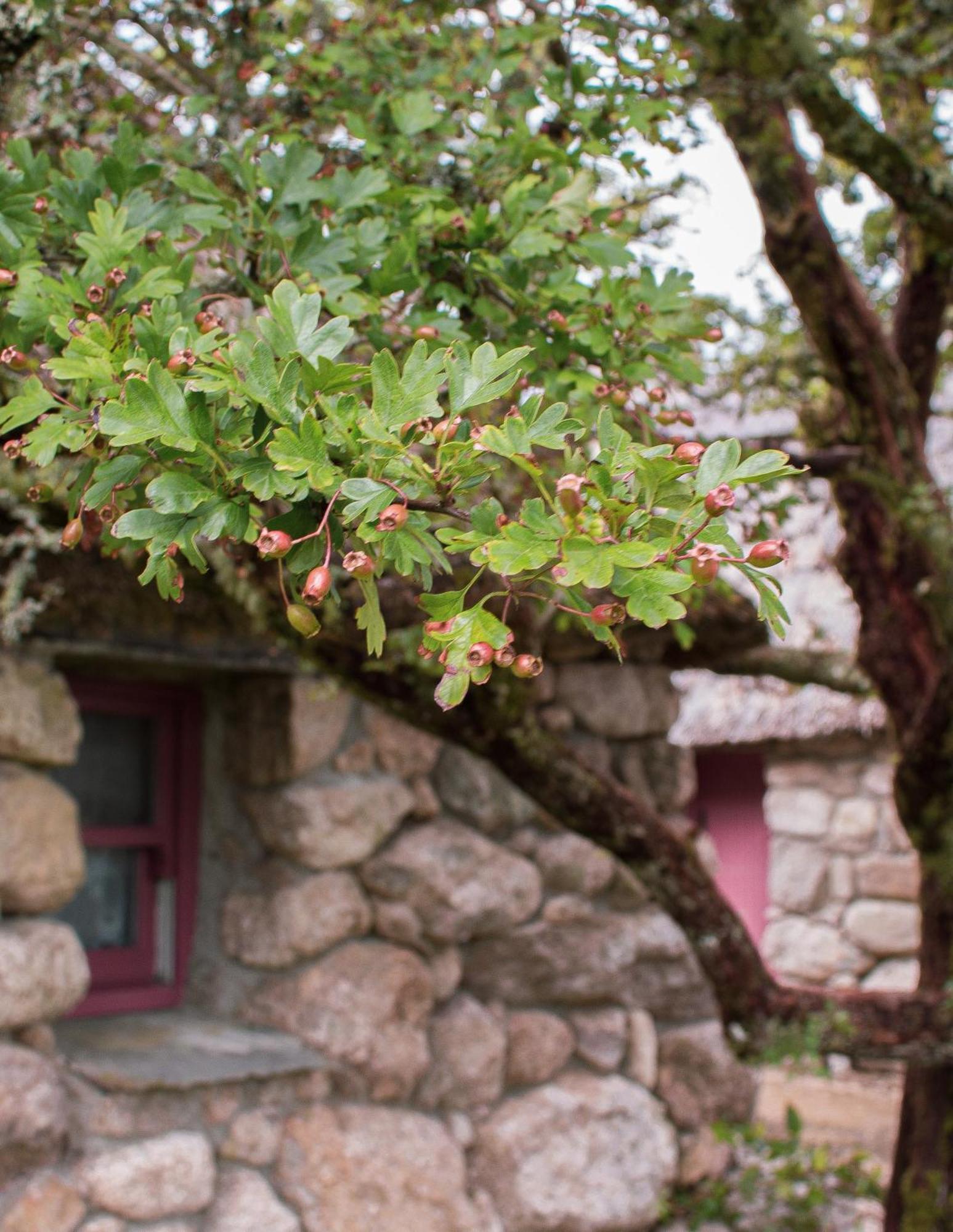 Holiday home Cnoc Suain Galway