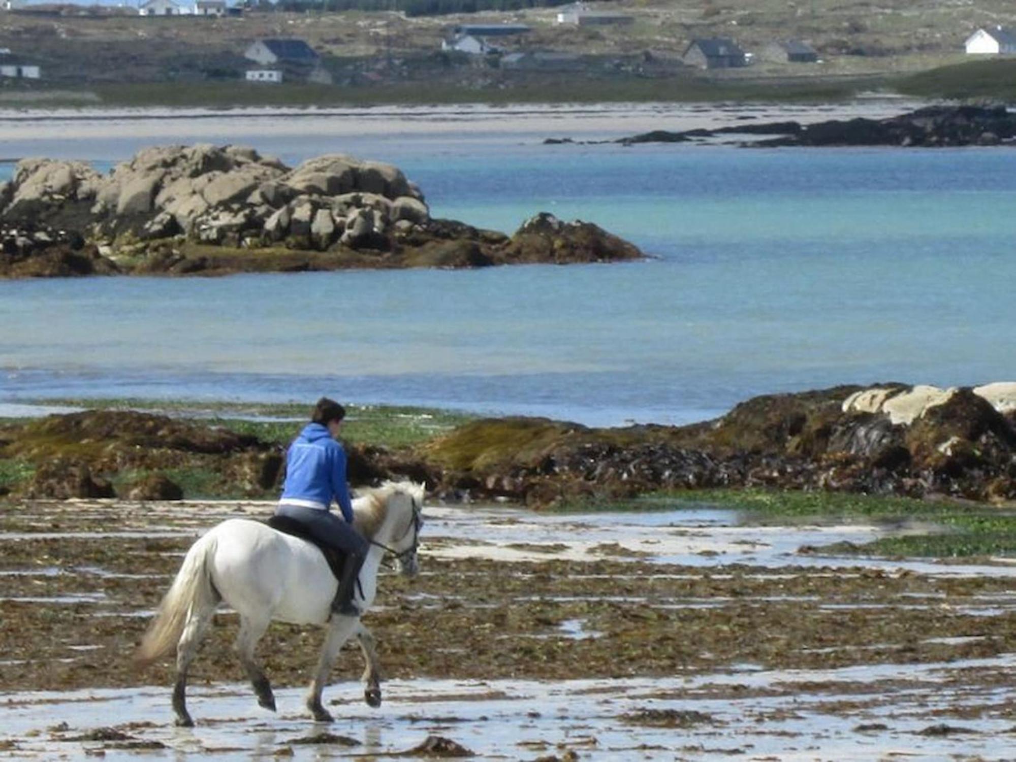 Holiday home Waterside Cottage, Cashel Galway