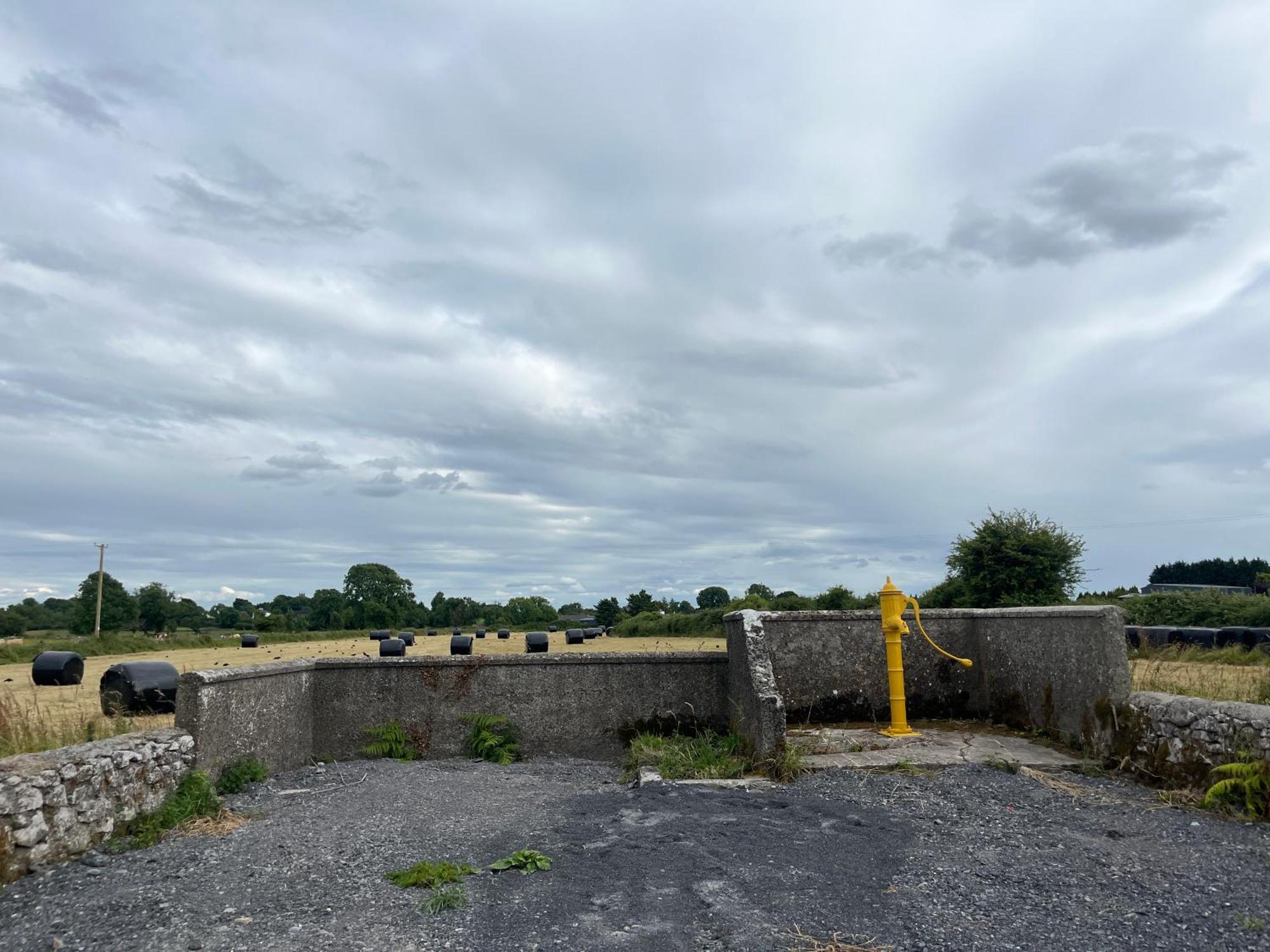 Andis Meadow Galway