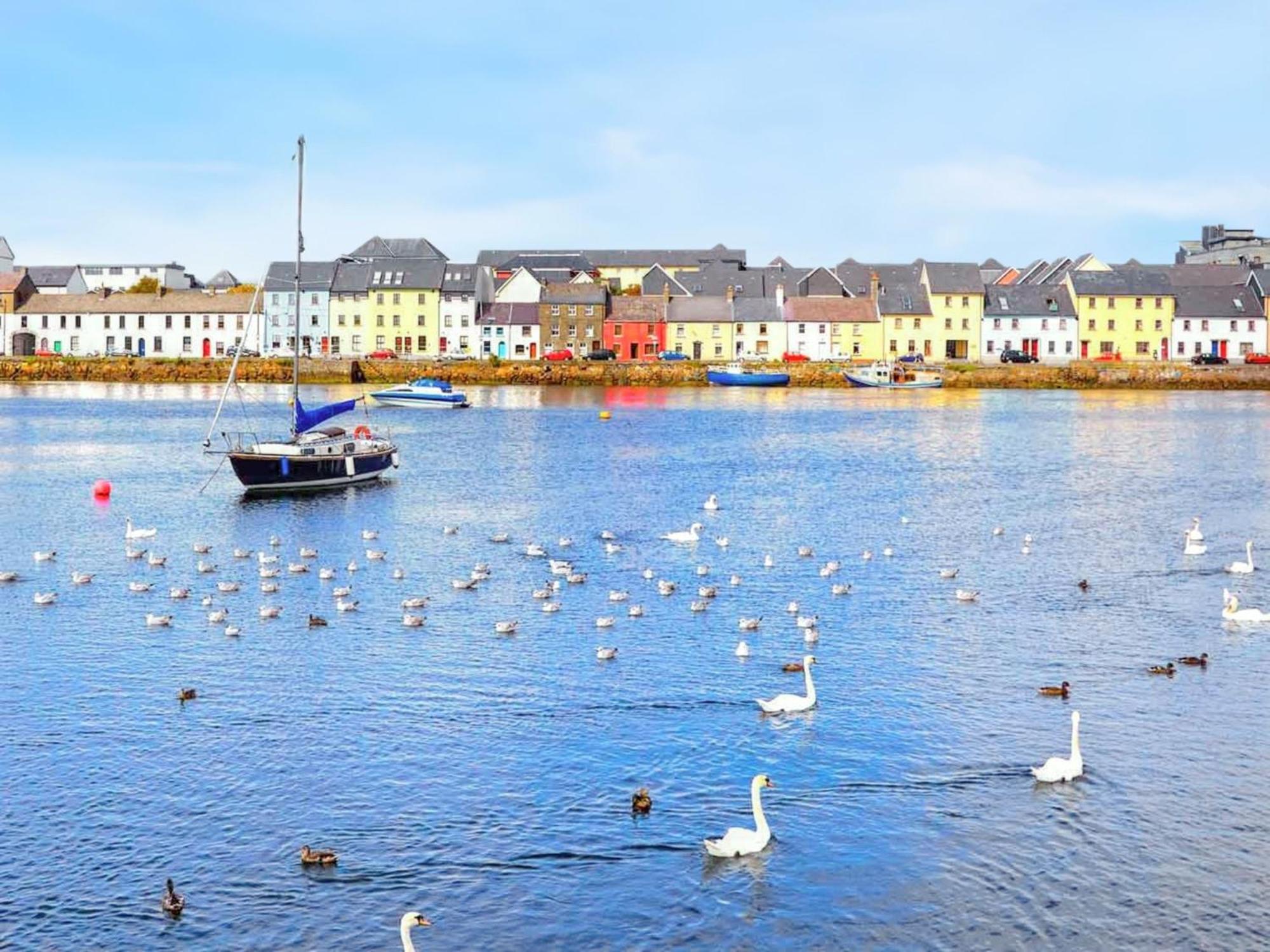 Cosy Apartment In Galway With Balcony 32 M² City View Galway